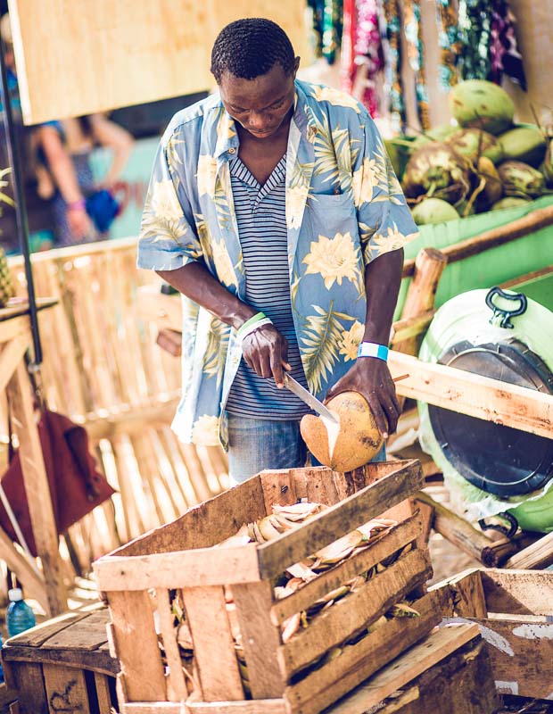 Beneath the Baobabs Festival Vendors