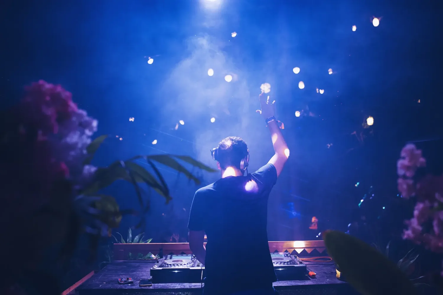 Journey to the Baobabs