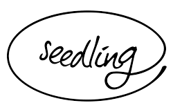 seedling seedling